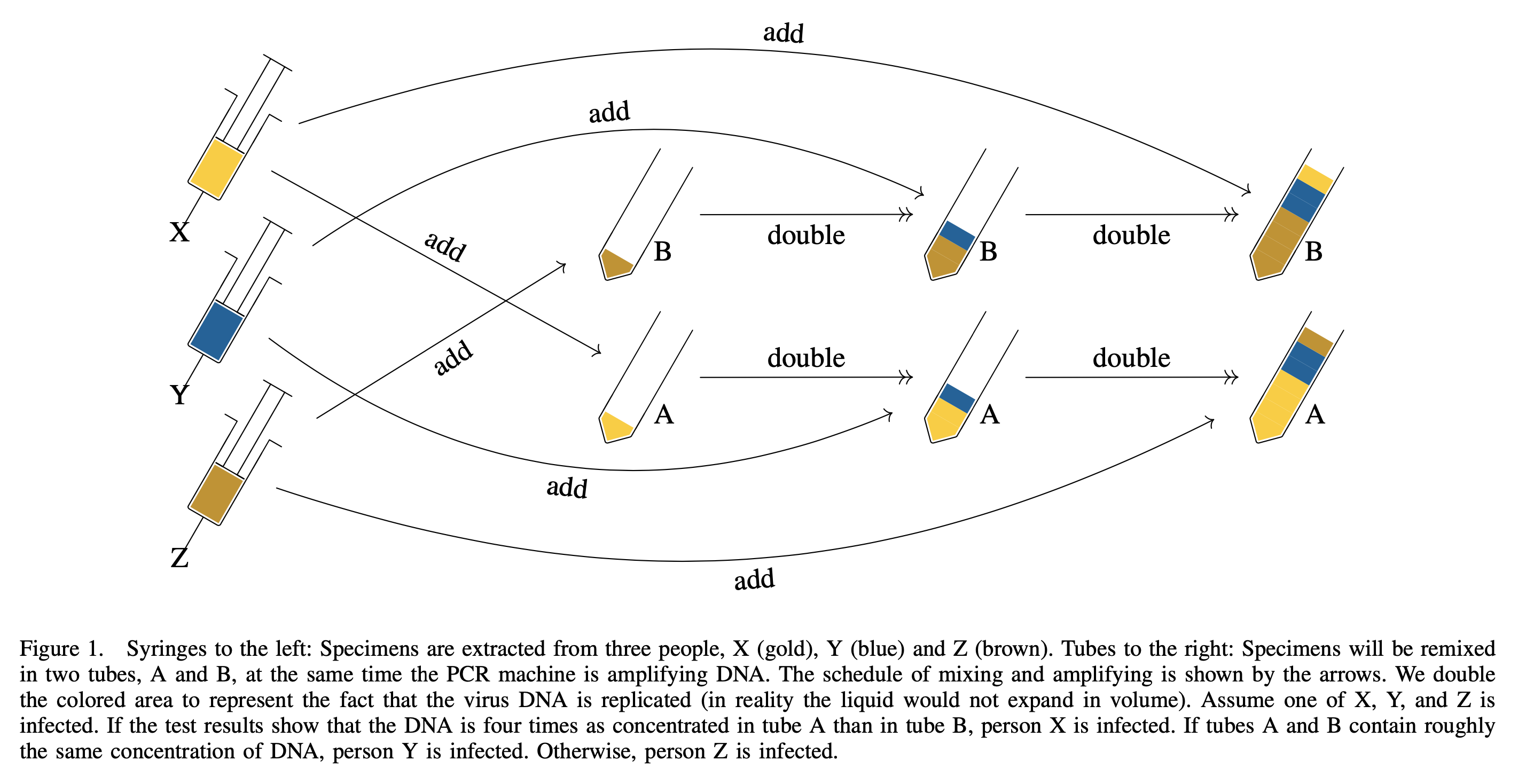 Inserting specimens at different cycles to encode information